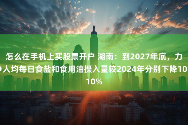 怎么在手机上买股票开户 湖南：到2027年底，力争人均每日食盐和食用油摄入量较2024年分别下降10%