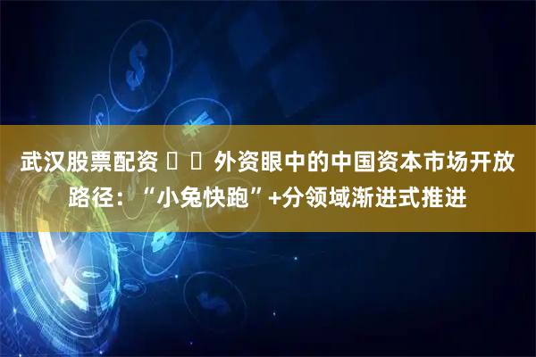 武汉股票配资 ​​外资眼中的中国资本市场开放路径：“小兔快跑”+分领域渐进式推进