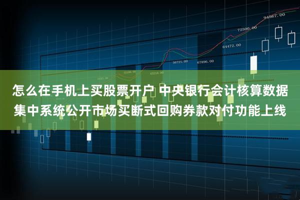 怎么在手机上买股票开户 中央银行会计核算数据集中系统公开市场买断式回购券款对付功能上线